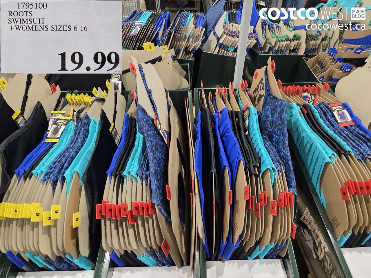 1795100 ROOTS SWIMSUIT LADIES SIZES 6-16 $19.99