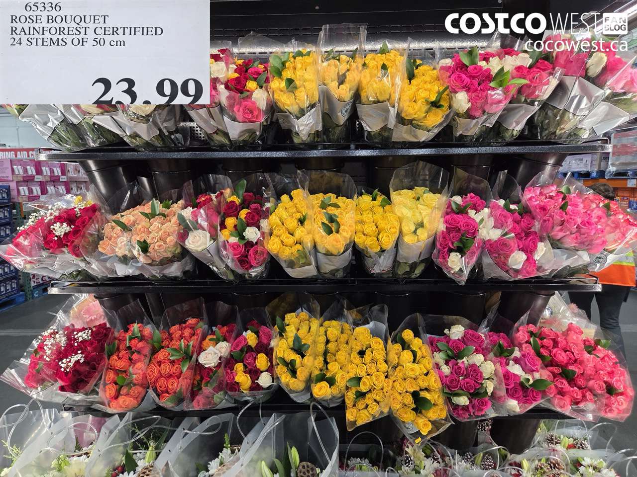 65336 ROSE BOUQUET RAINFOREST CERTIFIED 24 STEMS OF 50 cm $23.99