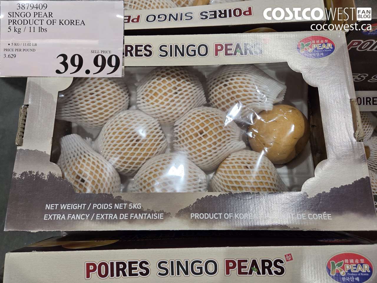 3879409 SINGO PEAR PRODUCT OF KOREA 5 kg / 11 Ibs $39.99