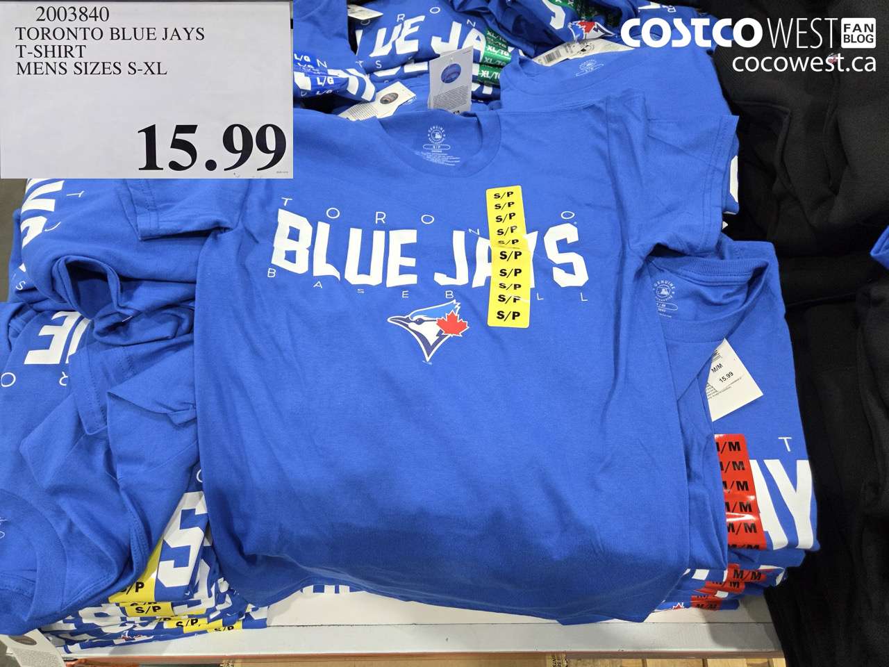 2003840 TORONTO BLUE JAYS T-SHIRT MENS SIZES S-XL $15.99