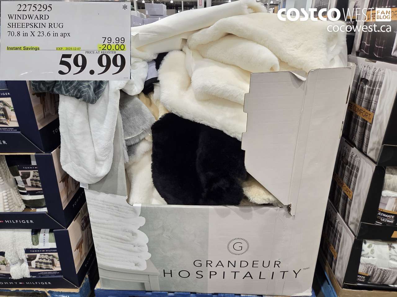 2275295 WINDWARD SHEEPSKIN RUG 70.8IN X 23.6IN APX ($20.00 INSTANT SAVINGS EXPIRES ON 2025-12-07) $59.99