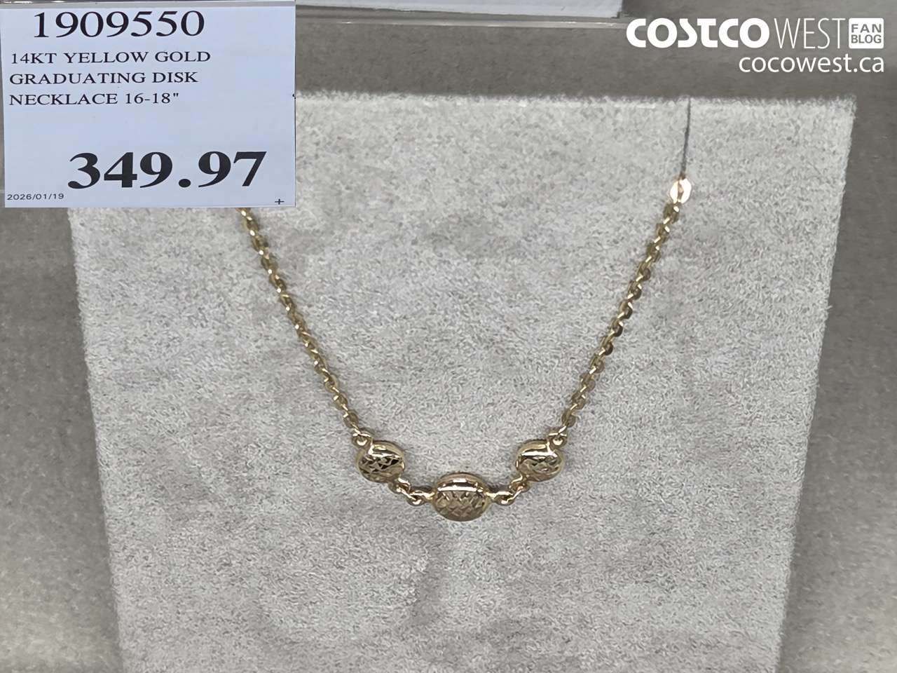 1909550 14KT YELLOW GOLD GRADUATING DISK NECKLACE 16-18