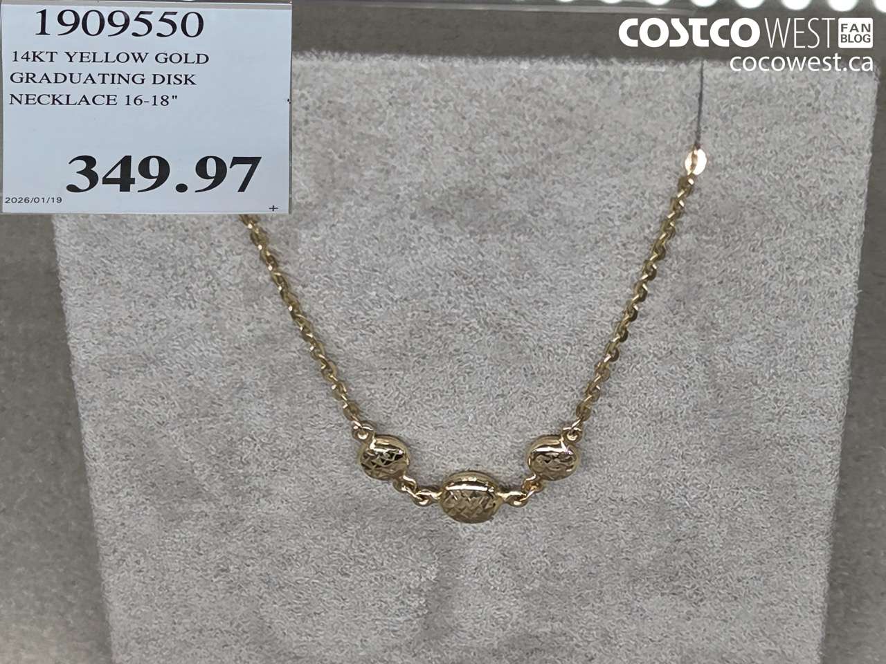 1909550 14KT YELLOW GOLD GRADUATING DISK NECKLACE 16-18