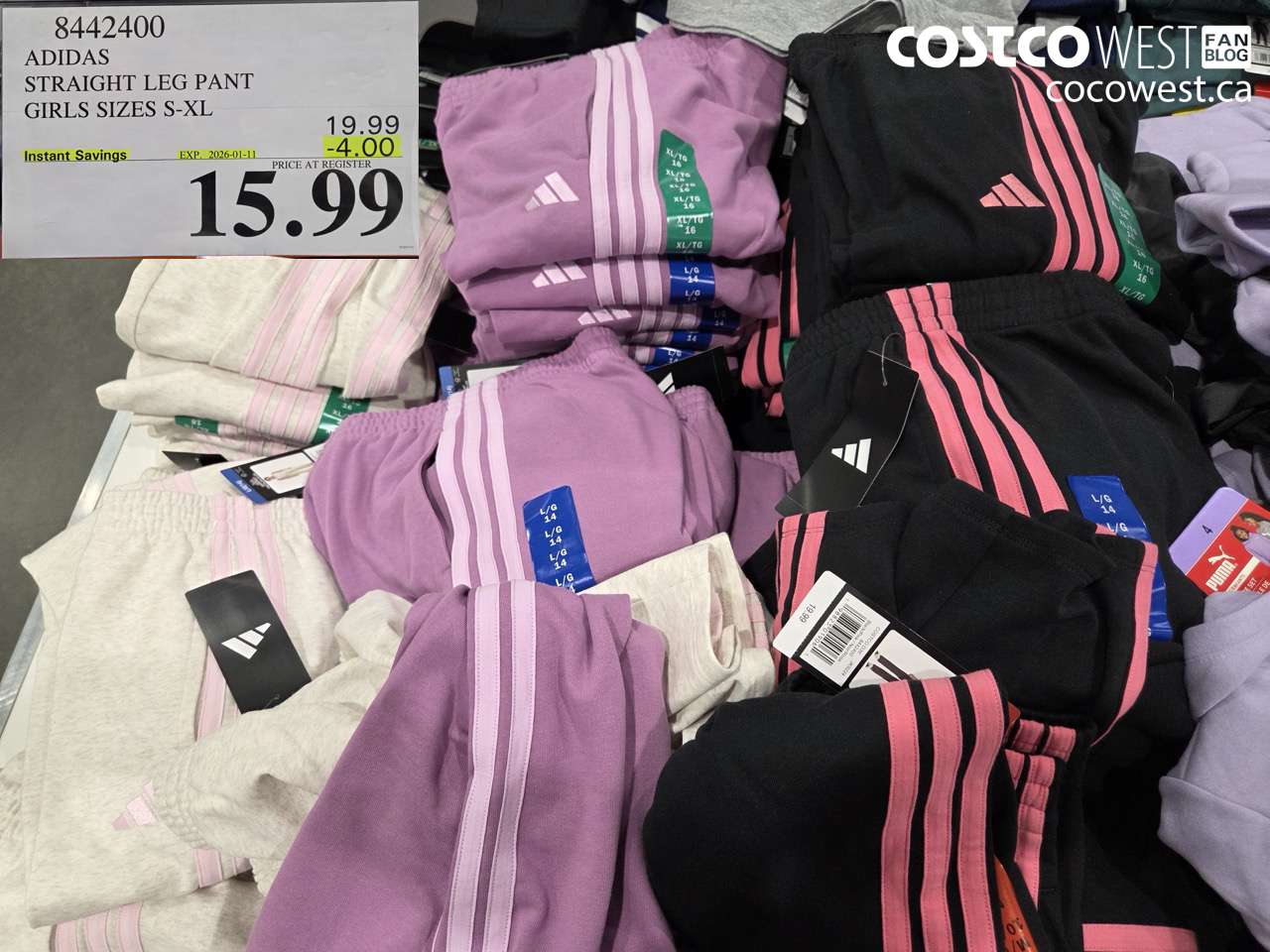 8442400 ADIDAS STRAIGHT LEG PANT GIRLS SIZES S-XL  ($4.00 INSTANT SAVINGS EXPIRES ON 2026-01-11) $15.99