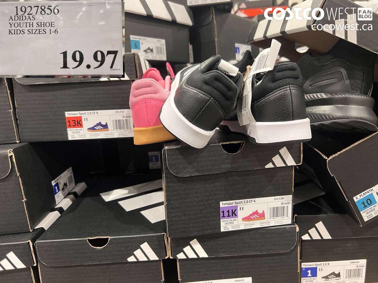 1927856 ADIDAS YOUTH SHOE KIDS SIZES 1-6 $19.97