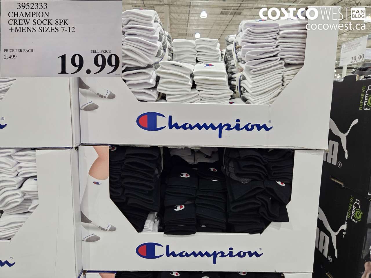 3952333 CHAMPION CREW SOCK 8PK MENS SIZES 7-12 $19.99