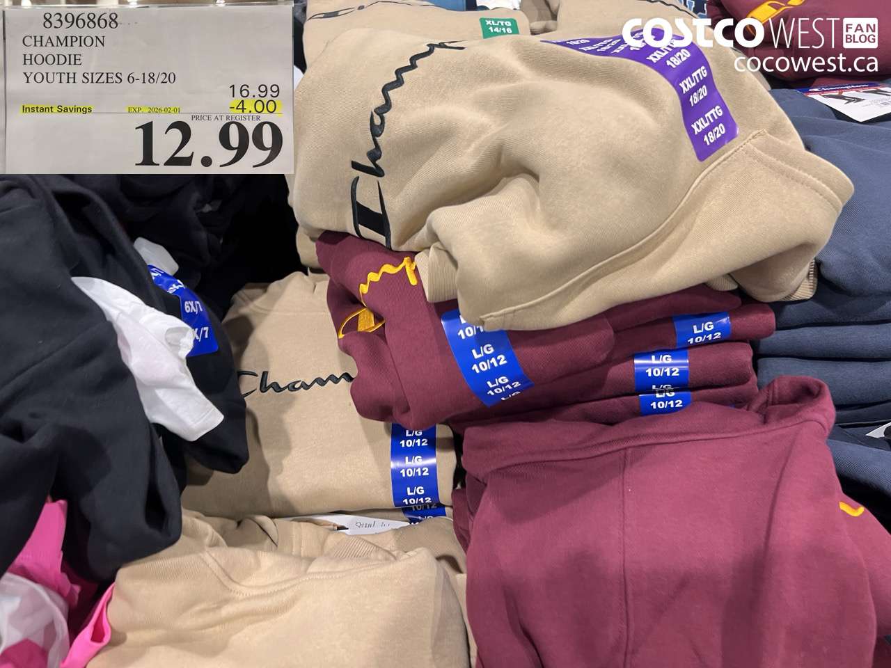 8396868 CHAMPION HOODIE YOUTH SIZES 6-18/20 ($4.00 INSTANT SAVINGS EXPIRES ON 2026-02-01) $12.99