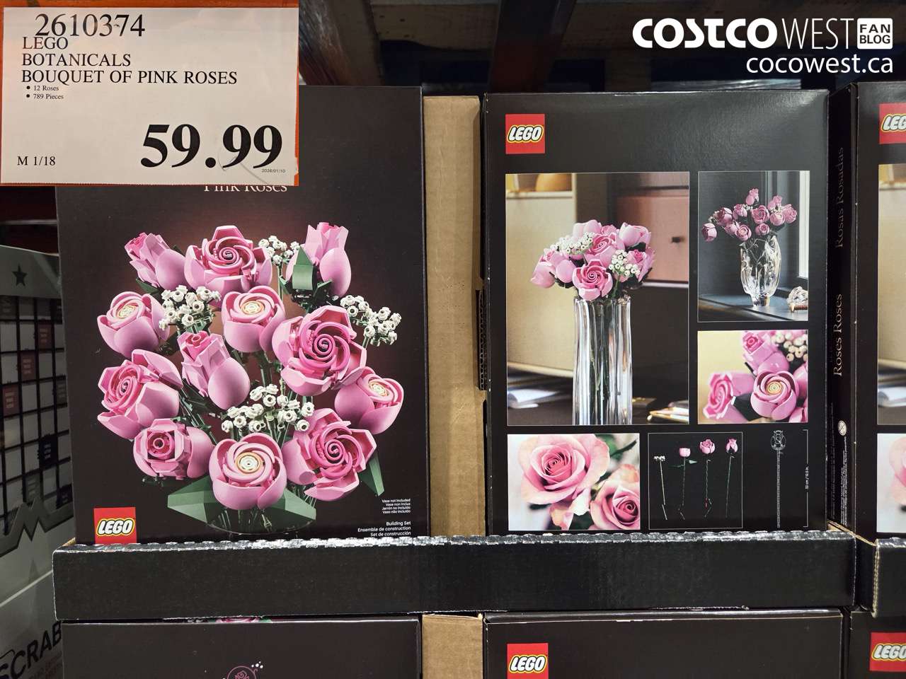 2610374 LEGO BOTANICALS BOUQUET OF PINK ROSES $59.99