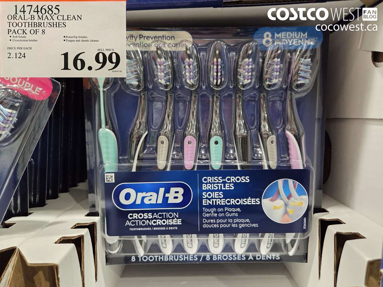 1474685 ORAL-B MAX CLEAN TOOTHBRUSHES PACK OF 8 $16.99
