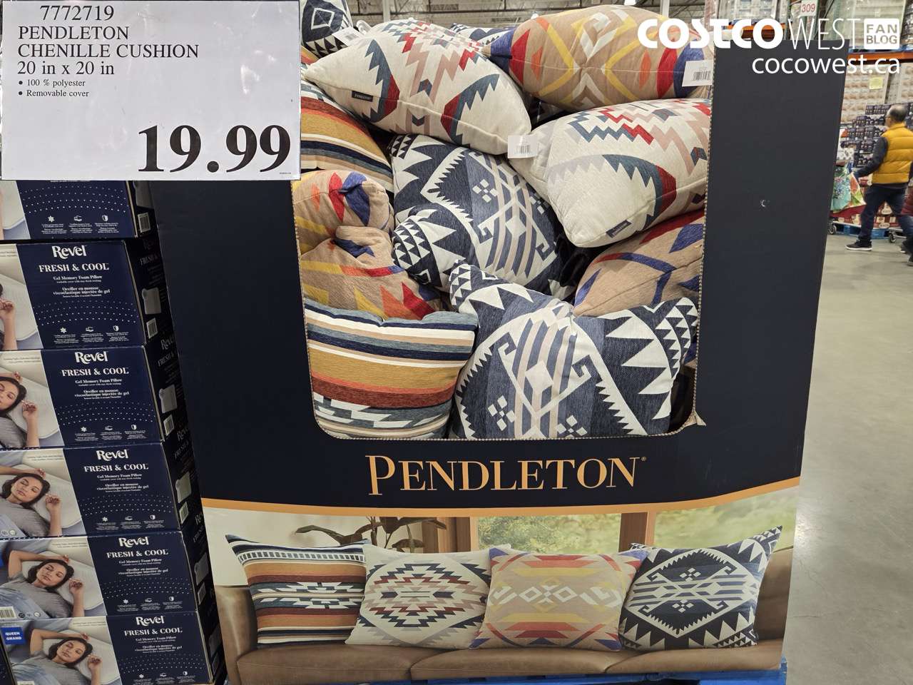 7772719 PENDLETON CHENILLE CUSHION 20 IN X 20 IN $19.99