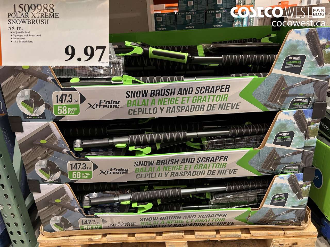 1509988 POLAR XTREME 58