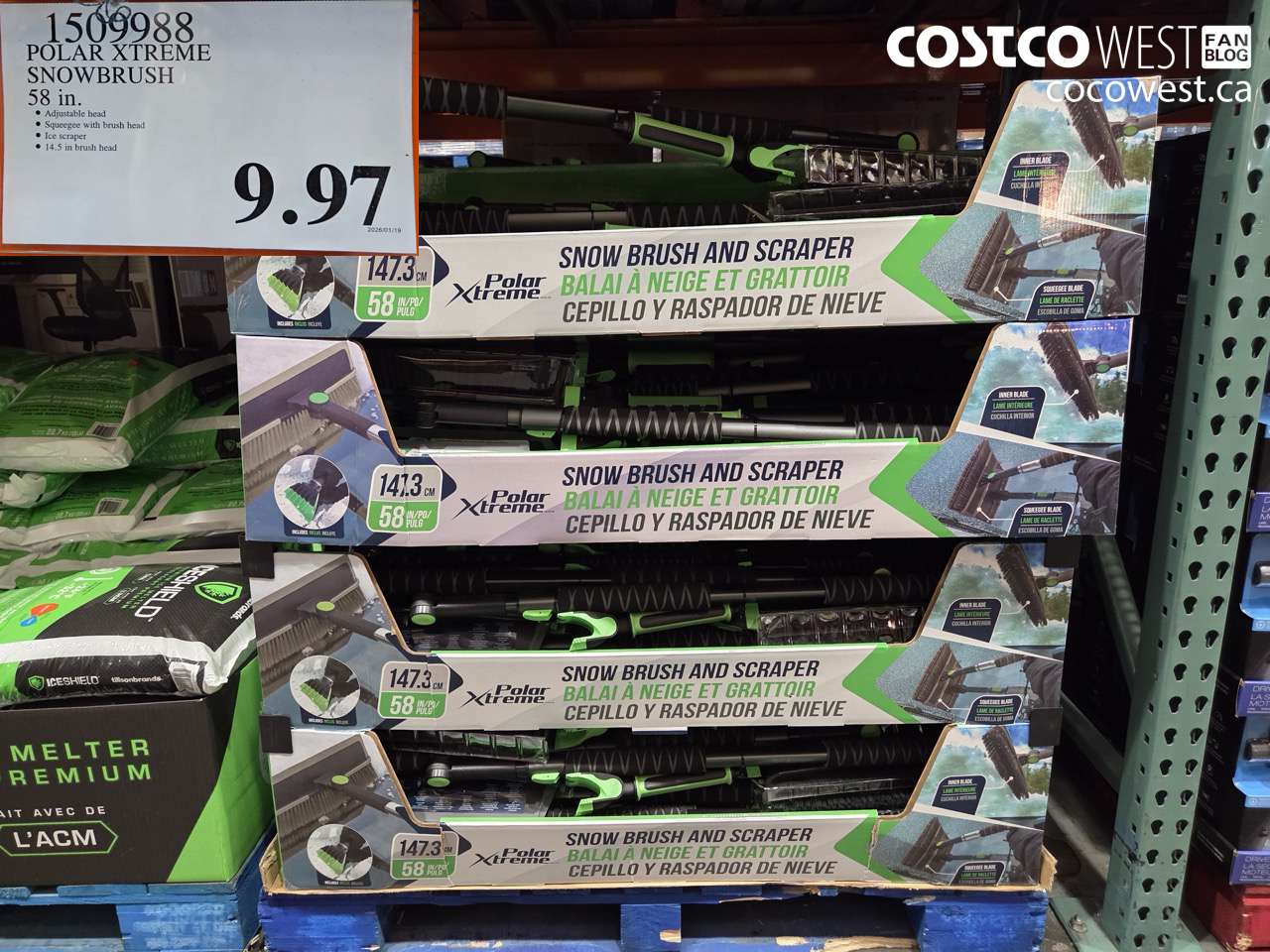 1509988 POLAR XTREME 58