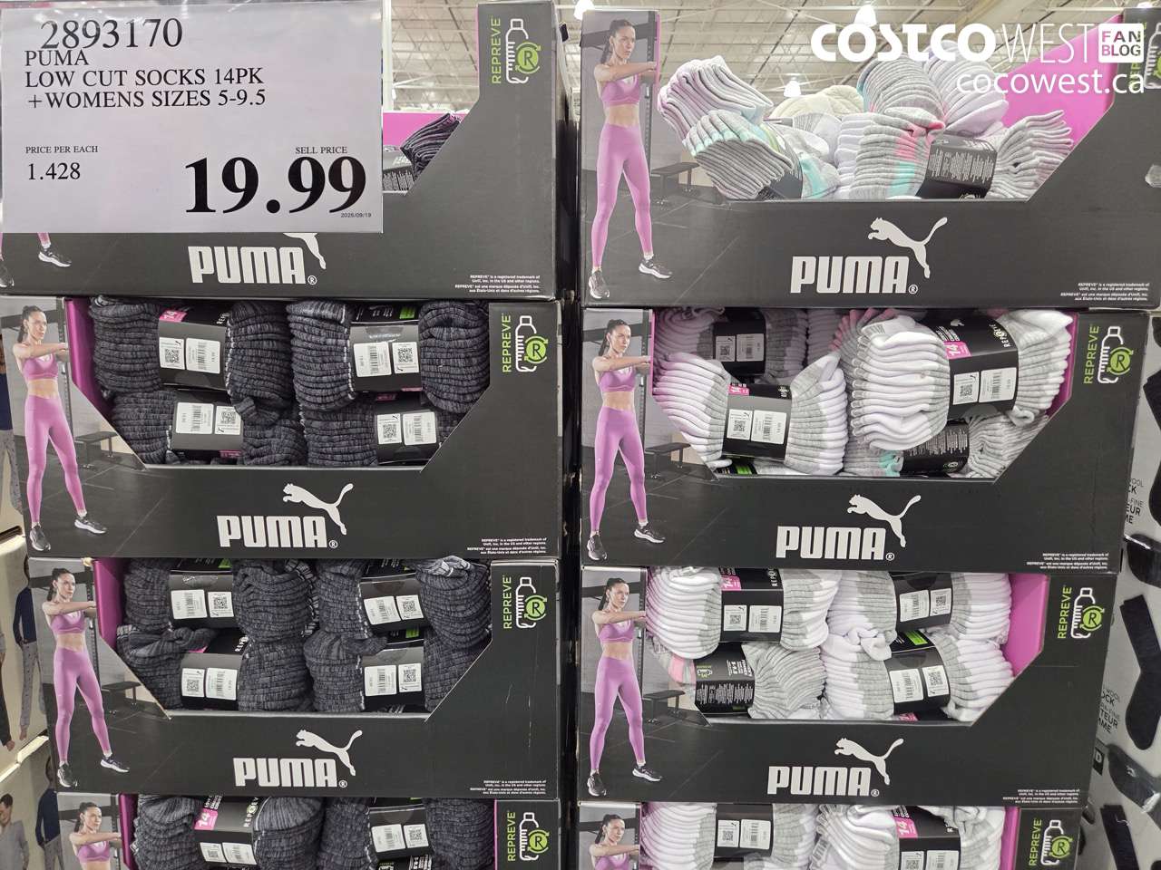2893170 PUMA LOW CUT SOCKS 14PK WOMENS SIZES 5-9.5 $19.99