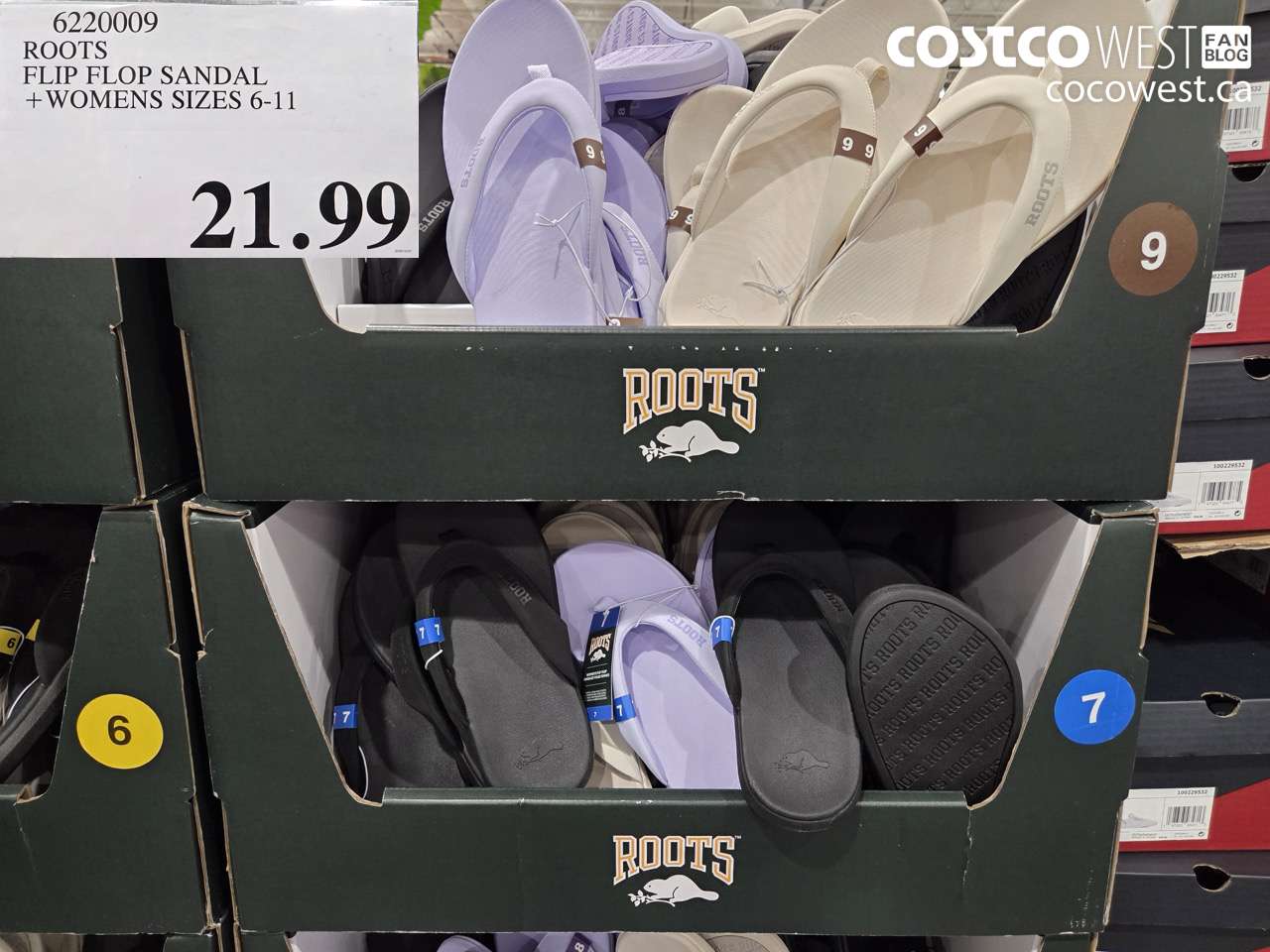 6220009 ROOTS FLIP FLOP SANDAL WOMENS SIZES 6-11 $21.99