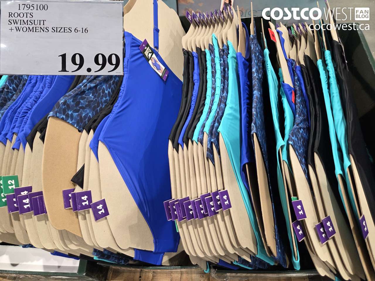 1795100 ROOTS SWIMSUIT LADIES SIZES 6-16 $19.99