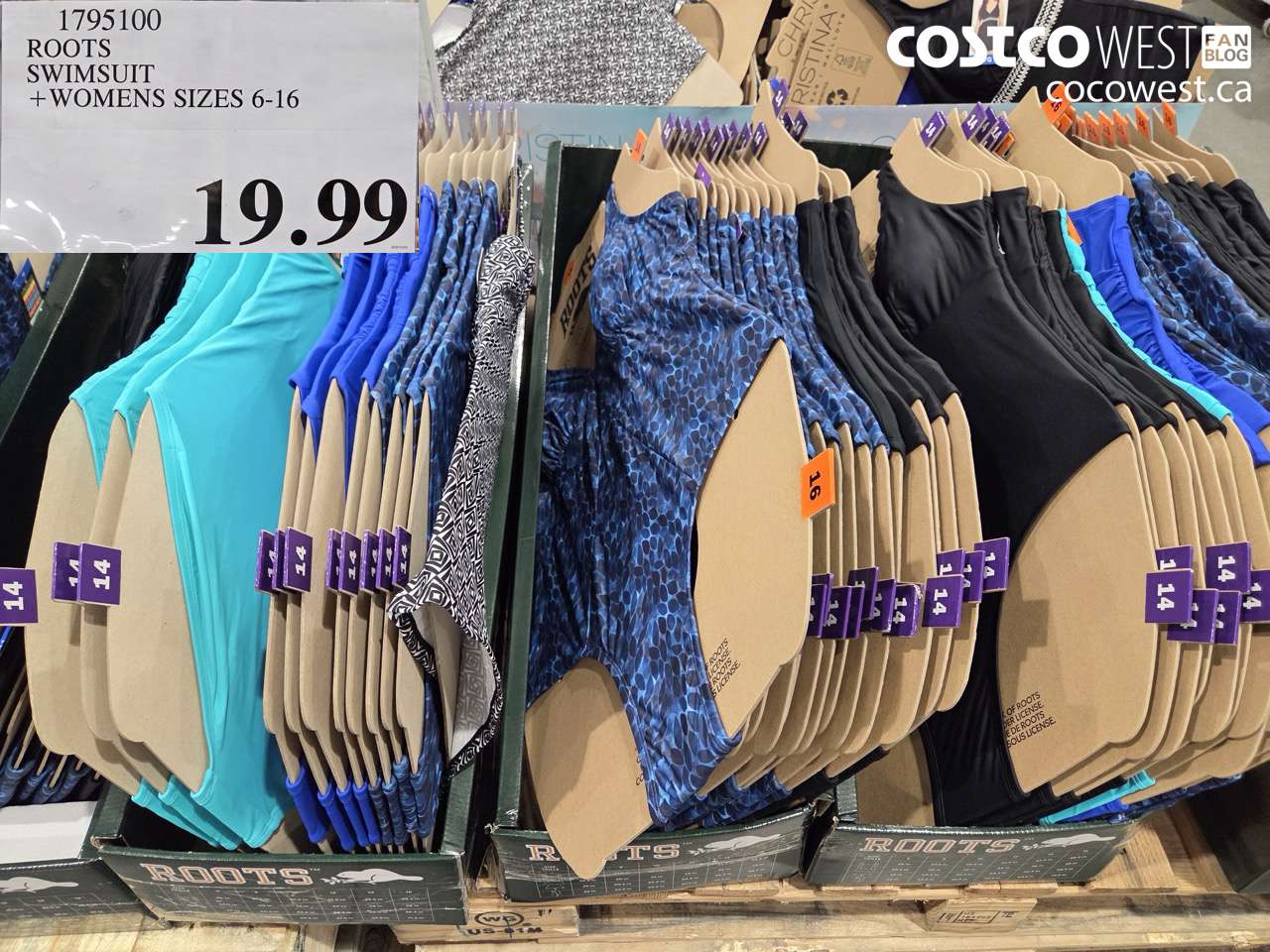 1795100 ROOTS SWIMSUIT LADIES SIZES 6-16 $19.99