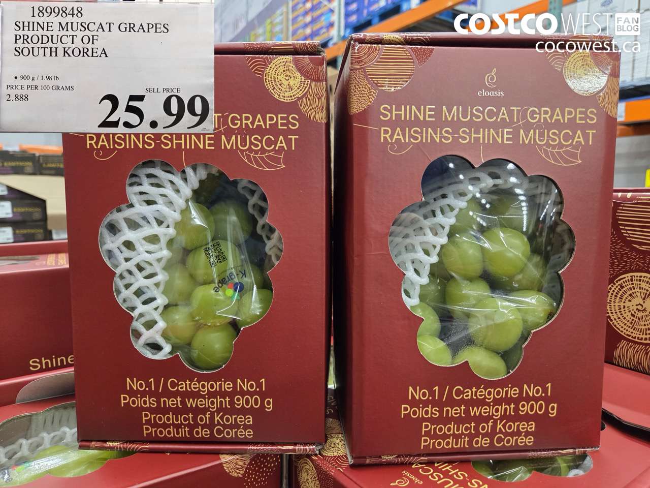 1899848 SHINE MUSCAT GRAPES PRODUCT OF SOUTH KOREA $25.99