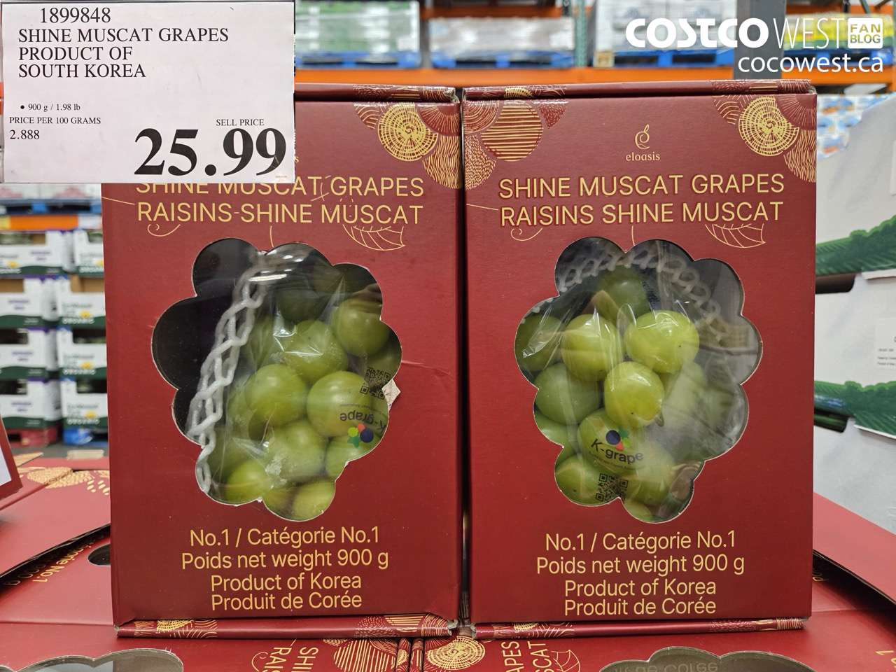 1899848 SHINE MUSCAT GRAPES PRODUCT OF SOUTH KOREA $25.99