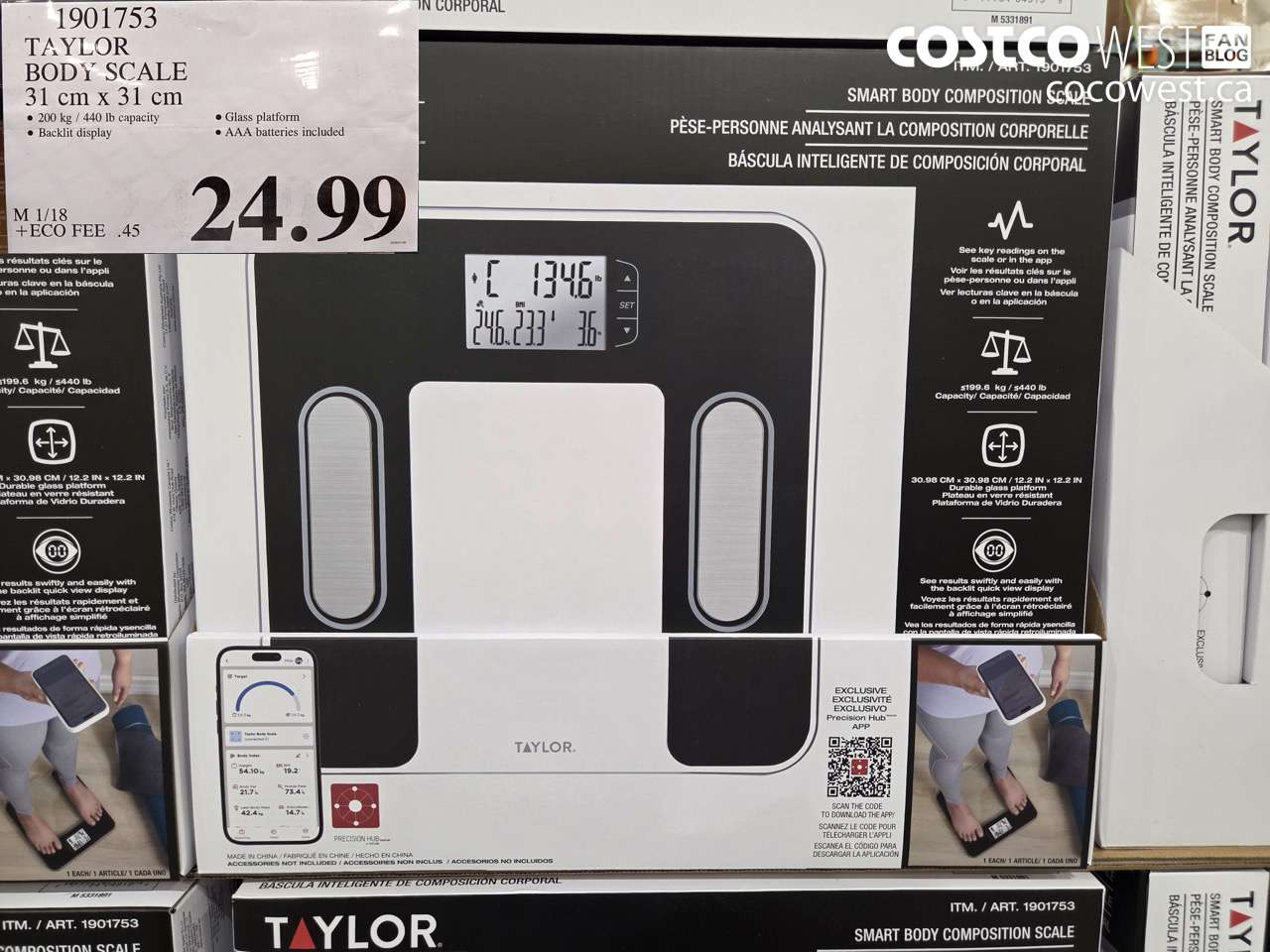 1901753 TAYLOR BODY SCALE 31 CM X 31 CM $24.99