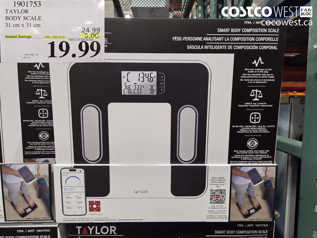1901753 TAYLOR BODY SCALE 31 CM X 31 CM ($5.00 INSTANT SAVINGS EXPIRES ON 2026-01-18) $19.99