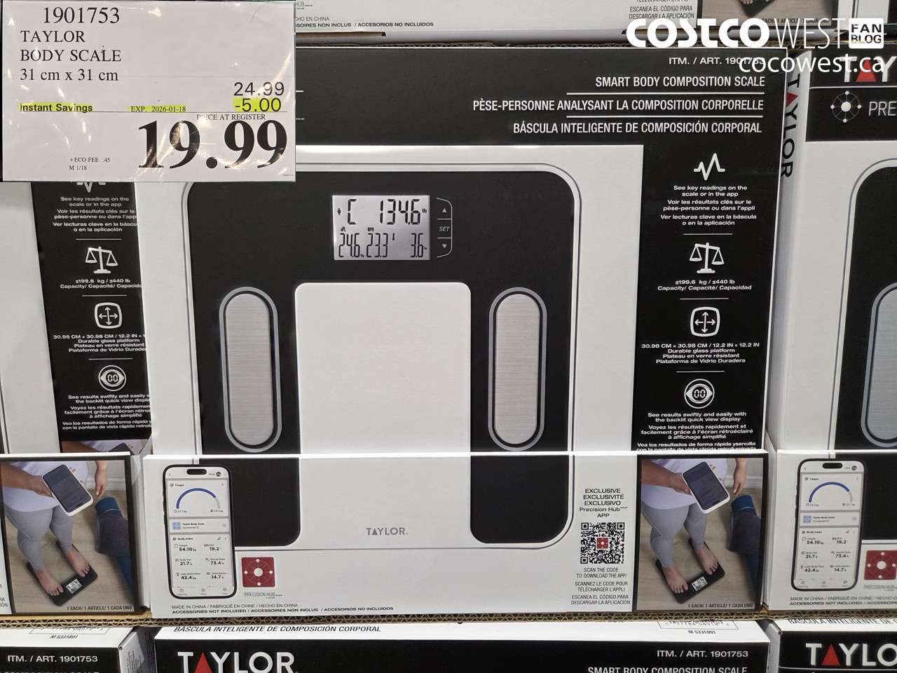 1901753 TAYLOR BODY SCALE 31 CM X 31 CM ($5.00 INSTANT SAVINGS EXPIRES ON 2026-01-18) $19.99