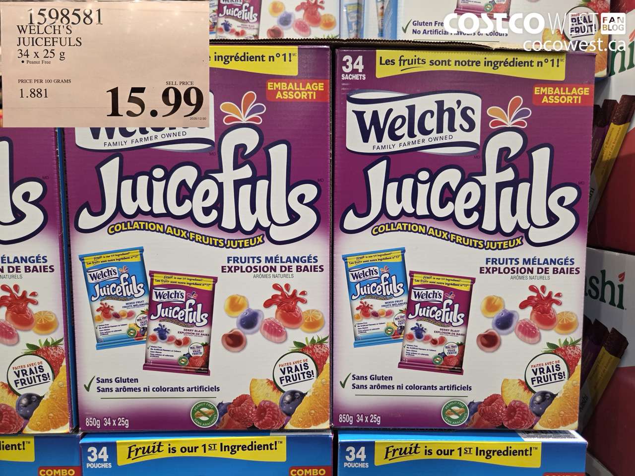1598581 WELCH'S JUICEFULS 34 X 25 G $15.99