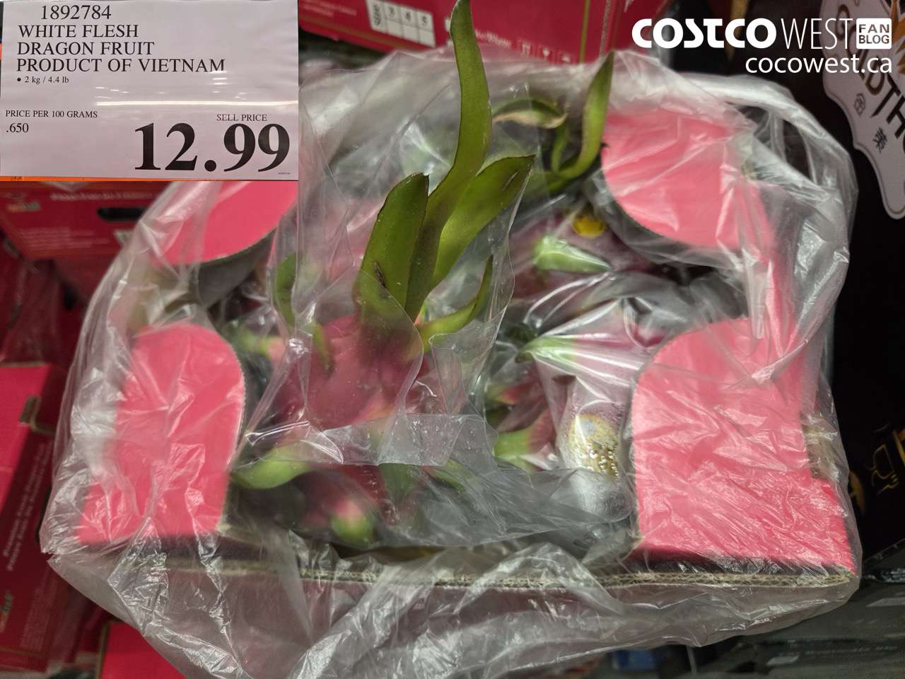 1892784 WHITE FLESH DRAGON FRUIT PRODUCT OF VIETNAM $12.99