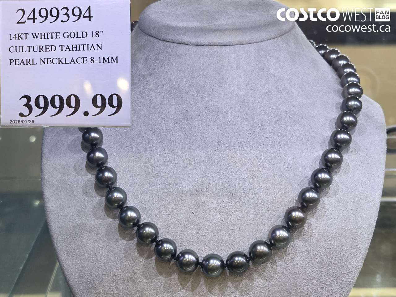 2499394 14KT WHITE GOLD 18\