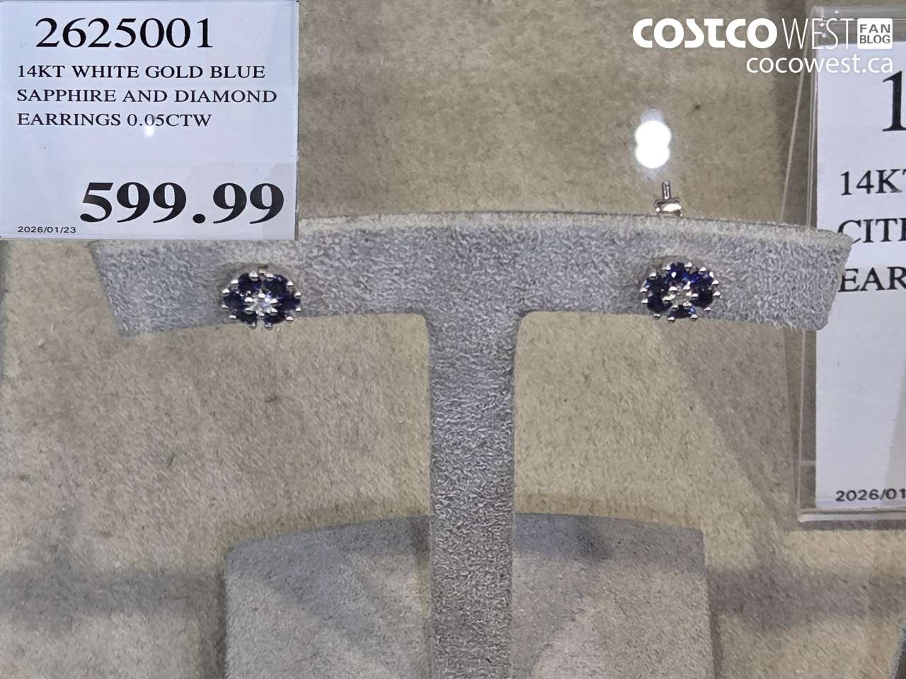 2625001 14KT WHITE GOLD BLUE SAPPHIRE AND DIAMOND EARRINGS 0.05CTW $590.99