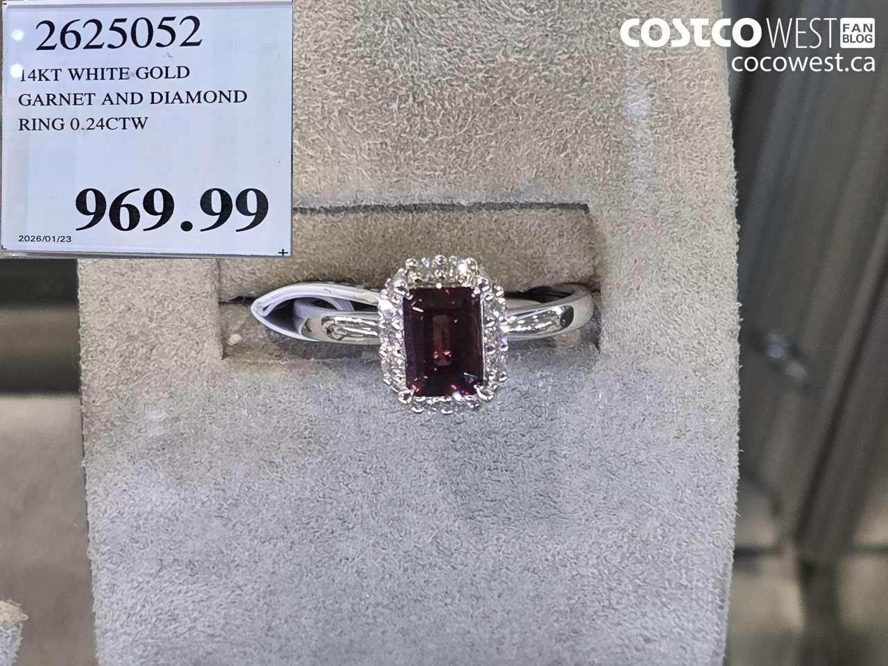 2625052 14KT WHITE GOLD GARNET AND DIAMOND RING 0.24CTW $969.99