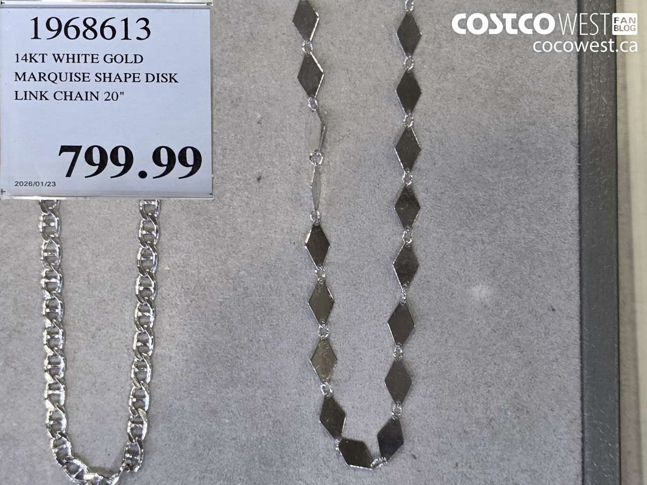 1968613 14KT WHITE GOLD MARQUIS SHAPE DISK LINK CHAIN 20