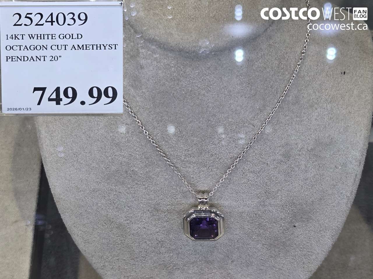 2524039 14KT WHITE GOLD OCTAGON CUT AMETHYST PENDANT 20