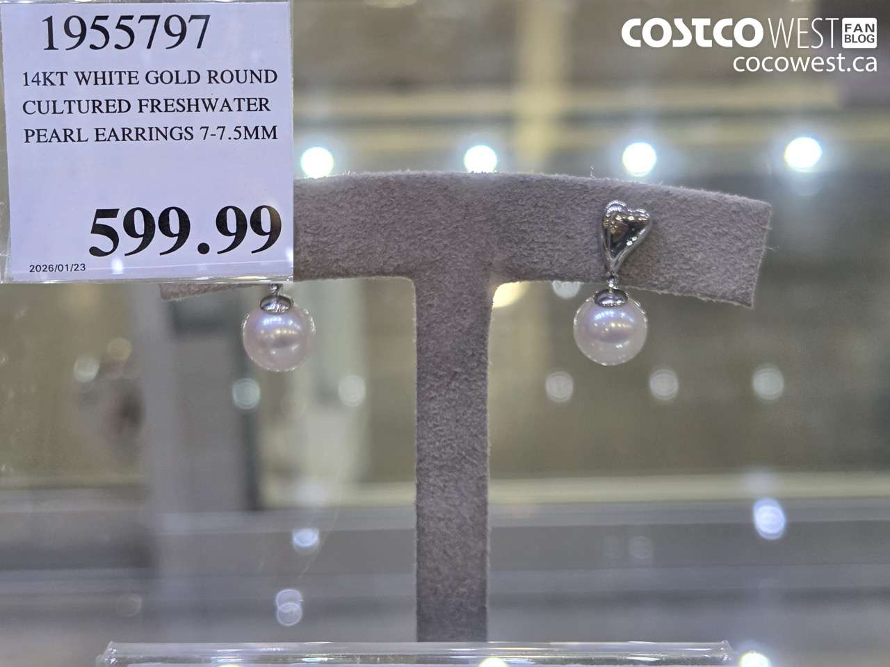 1955797 14KT WHITE GOLD ROUND CULTURED FRESHWATER PEARL EARRINGS 7-7.5MM $599.99