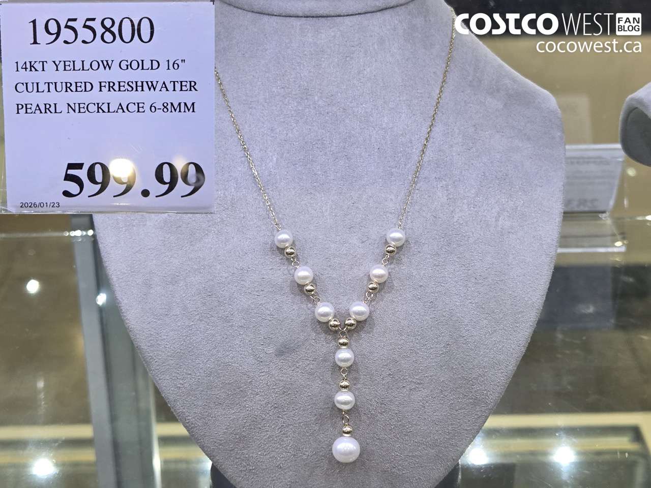 1955800 14KT YELLOW GOLD 16