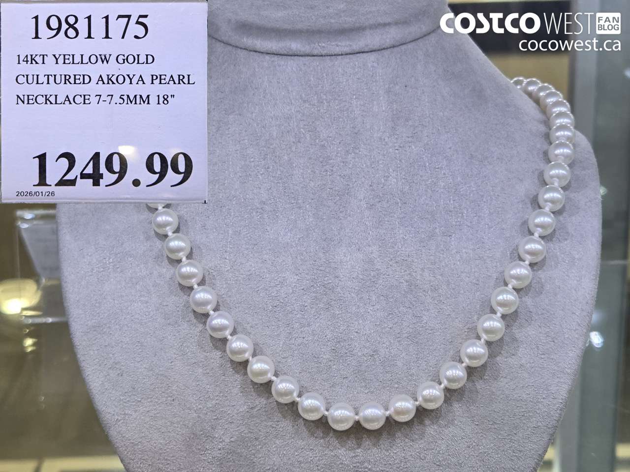 1981175 14KT YELLOW GOLD CULTURED AKOYA PEARL NECKLACE 7-7.5MM 18
