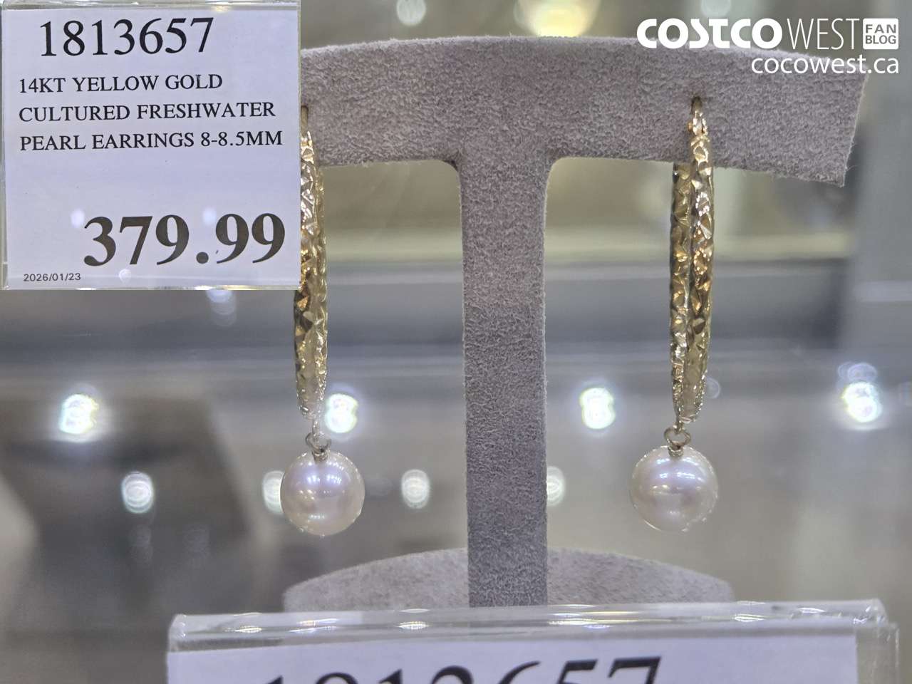 1813657 14KT YELLOW GOLD CULTURED FRESHWATER PEARL EARRINGS 8-8.5MM $379.99