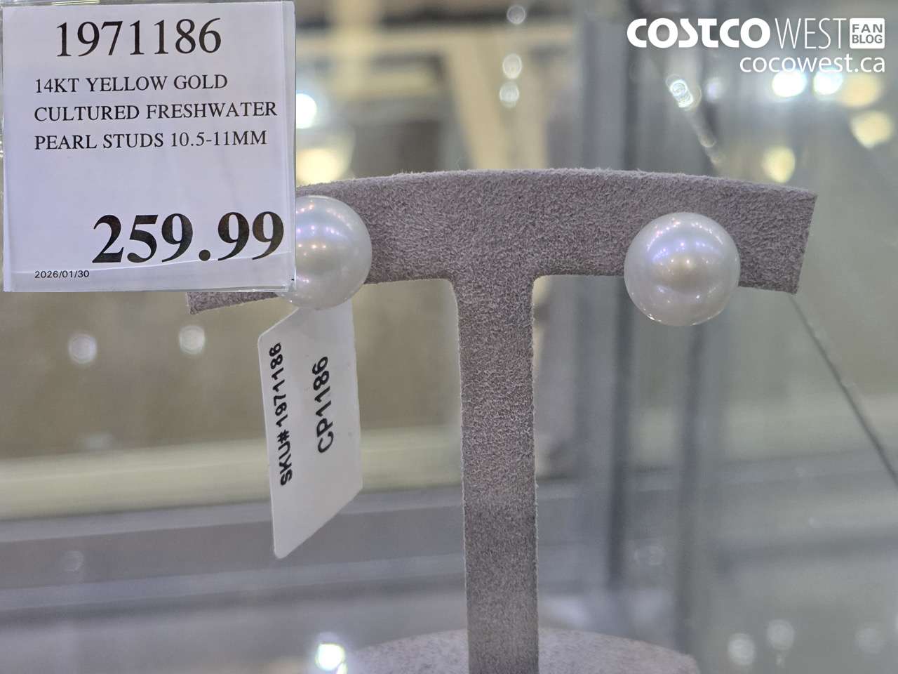 1971186 14KT YELLOW GOLD CULTURED FRESHWATER PEARL STUDS 10.5-11MM $259.99