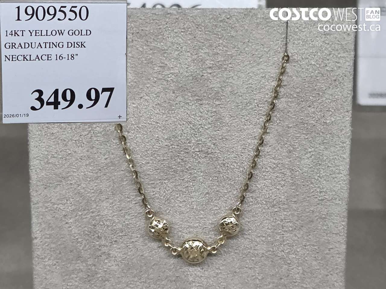 19095550 14KT YELLOW GOLD GRADUATING DISK NECKLACE 16-18