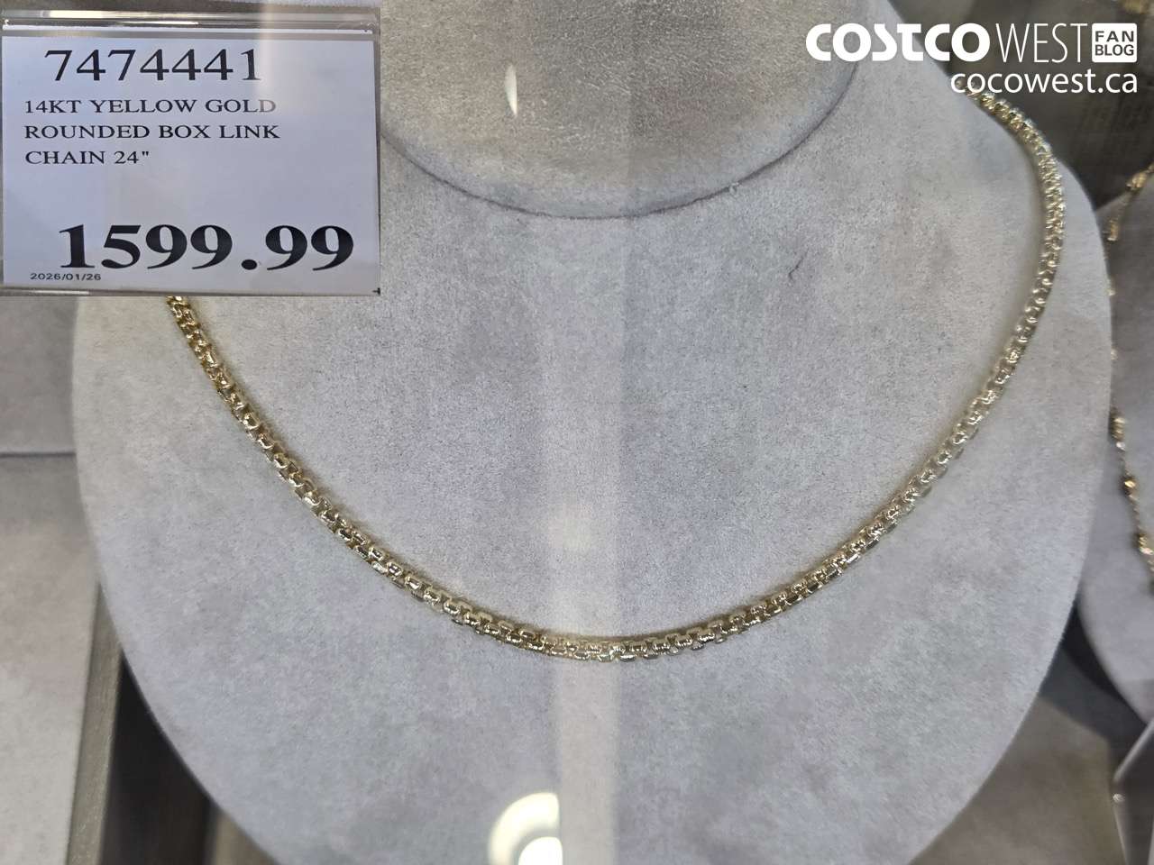 74747441 14KT YELLOW GOLD ROUNDED BOX LINK CHAIN 24