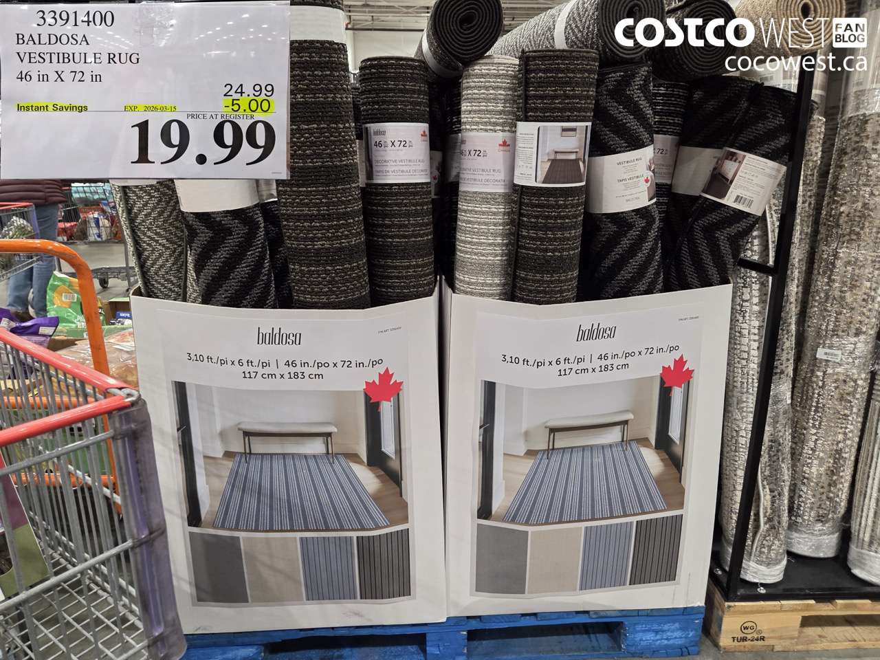 3391400 BALDOSA VESTIBULE RUG 46 IN X 72 IN ($5.00 INSTANT SAVINGS EXPIRES ON 2026-03-15) $19.99