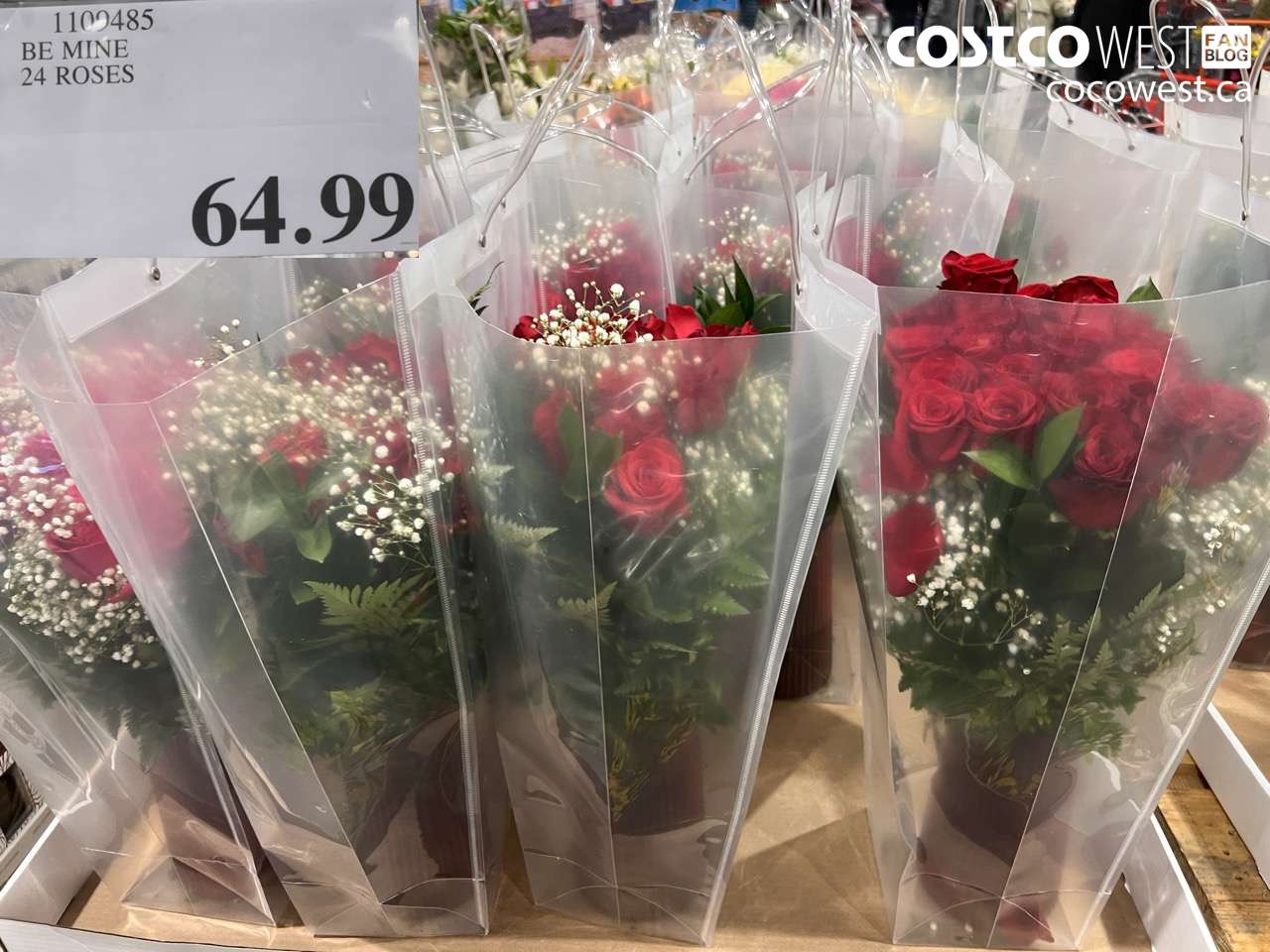 110485 BE MINE 24 ROSES $64.99