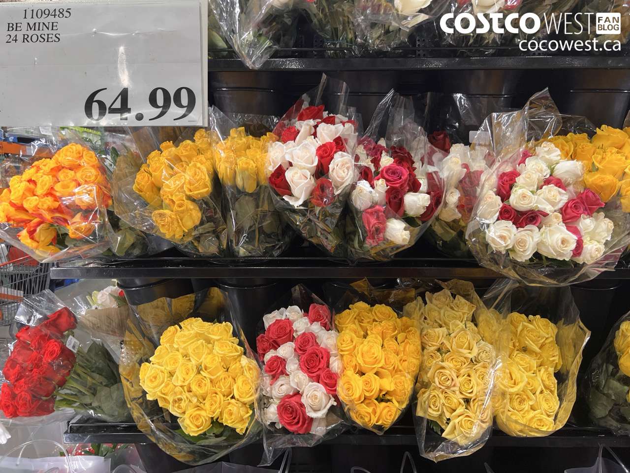 1109485 BE MINE 24 ROSES $64.99
