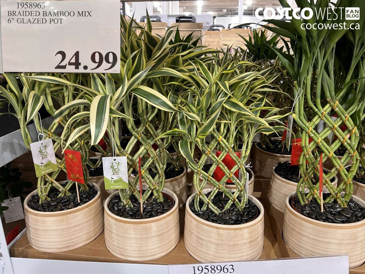 1958963 BRAIDED BAMBOO MIX 6