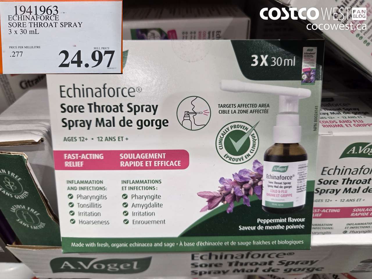 1941963 ECHINAFORCE SORE THROAT SPRAY 3 X 30 ML $24.97