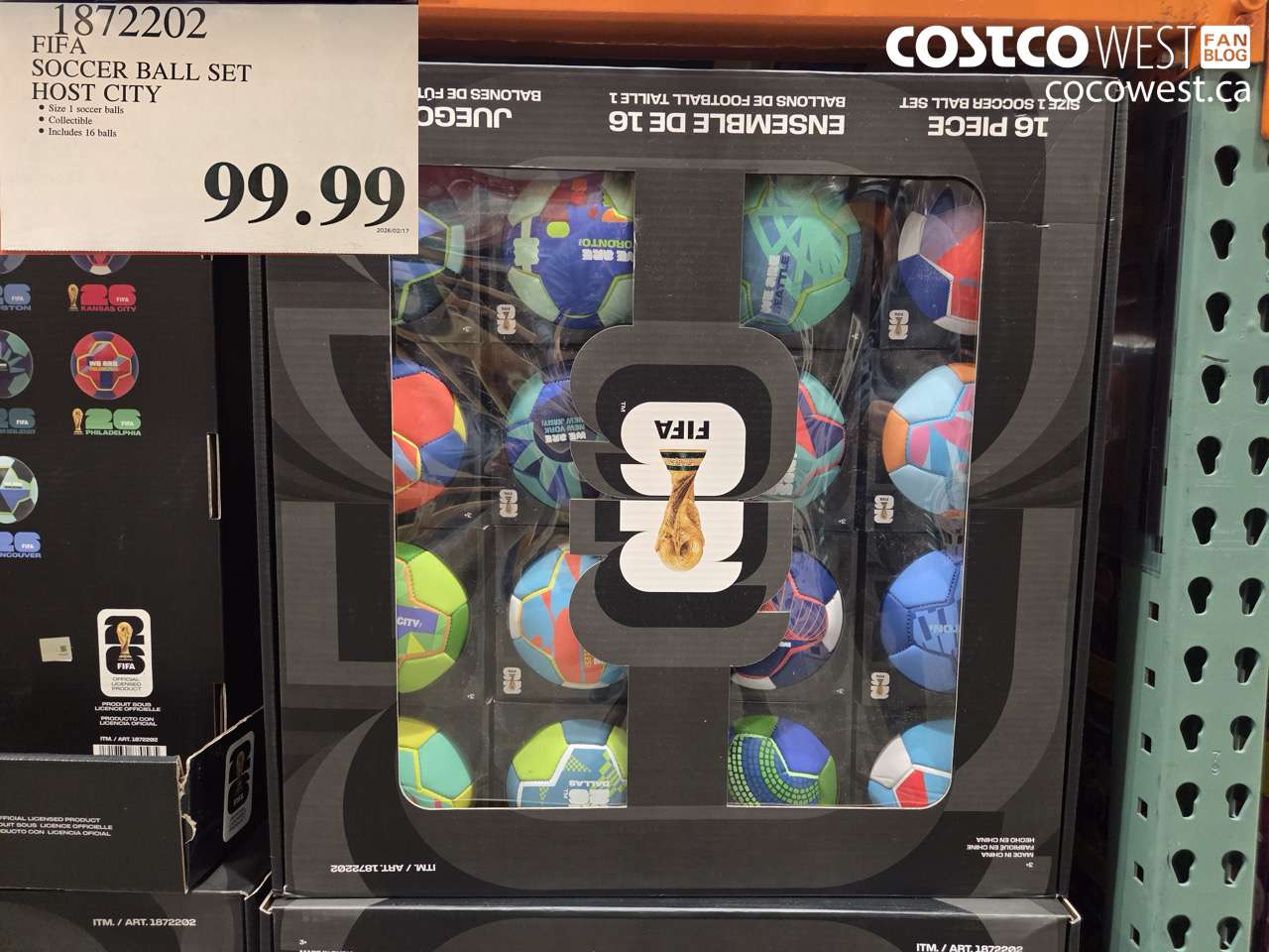 1872202 FIFA SOCCER BALL SET HOST CITY $99.99