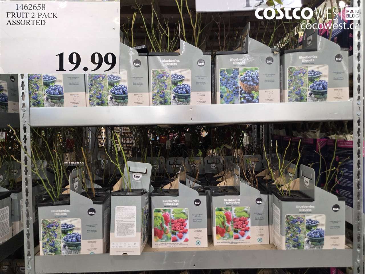 1462658 FRUIT 2-PACK ASSORTED $19.99