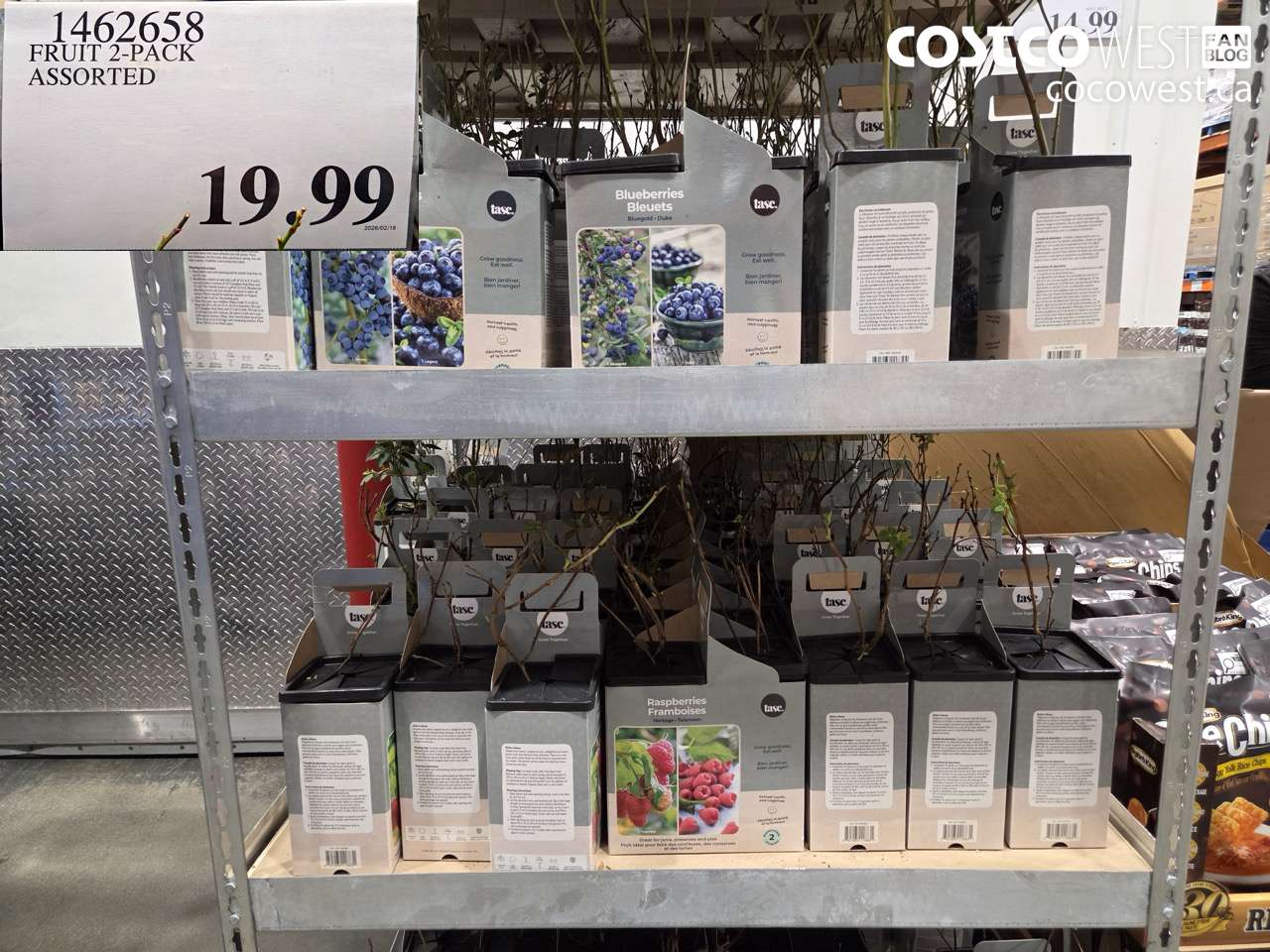 1462658 FRUIT 2-PACK ASSORTED $19.99