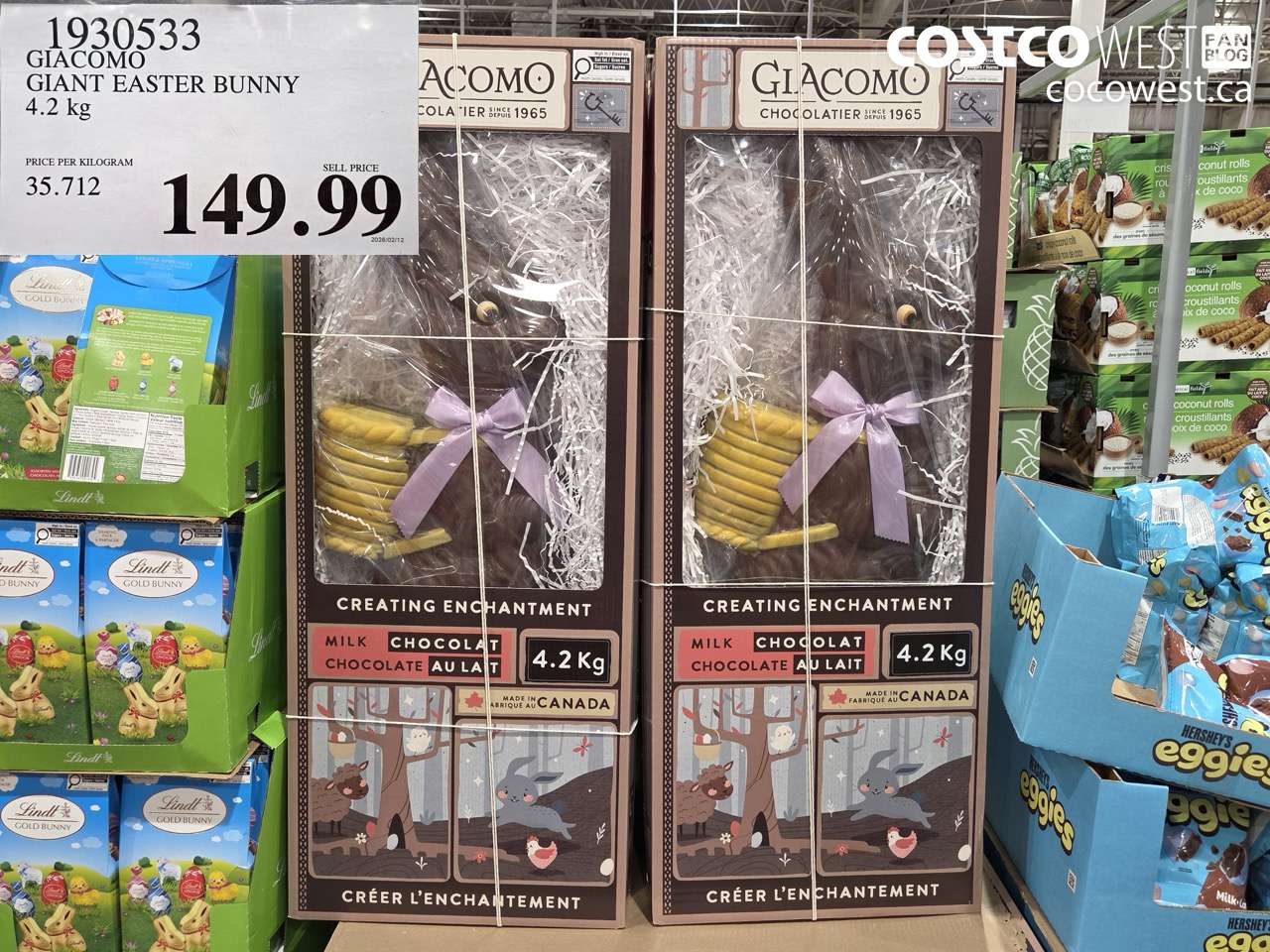 1930533 GIACOMO GIANT EASTER BUNNY 4.2 kg $149.99