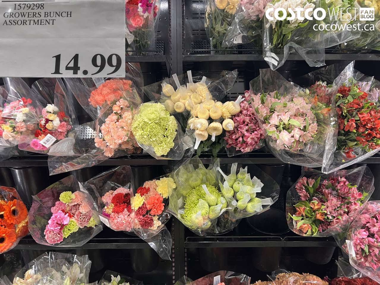 1579298 GROWERS BUNCH ASSORTMENT $14.99