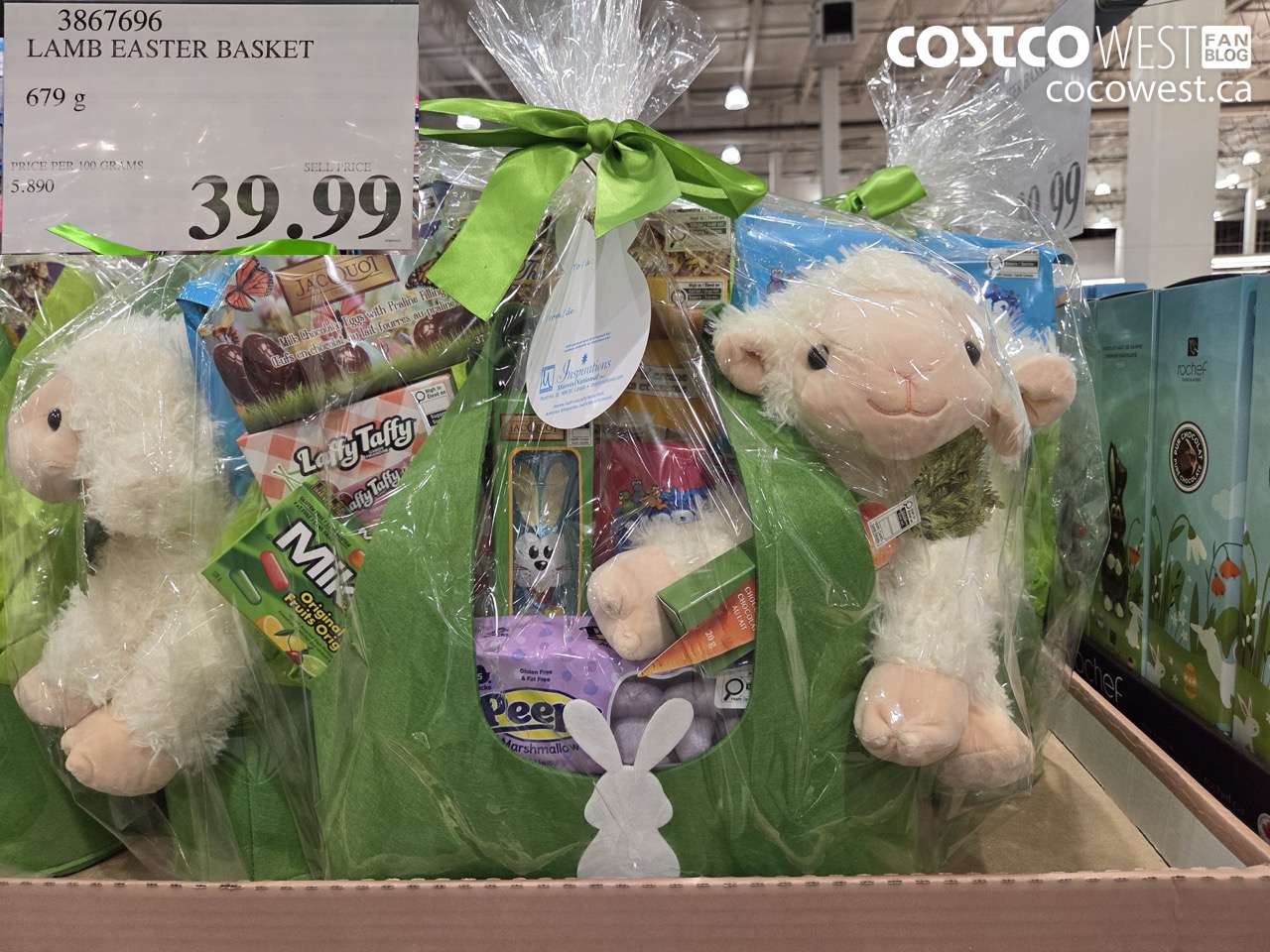 3867696 LAMB EASTER BASKET 679G $39.99
